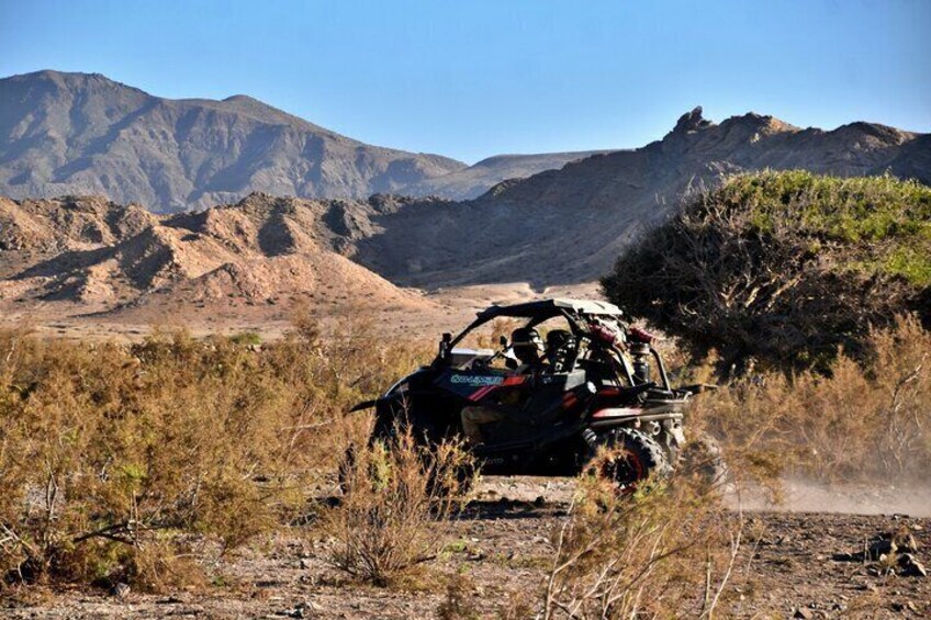 Boa Vista 2h Buggy Death Valley Adventure 1000cc