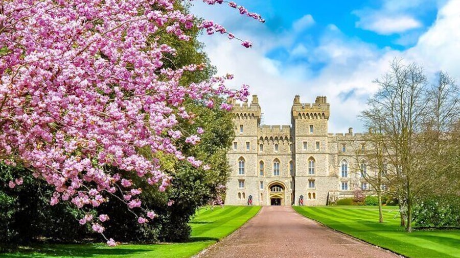 Full Day Private Shore Tour in Windsor from Southampton Port