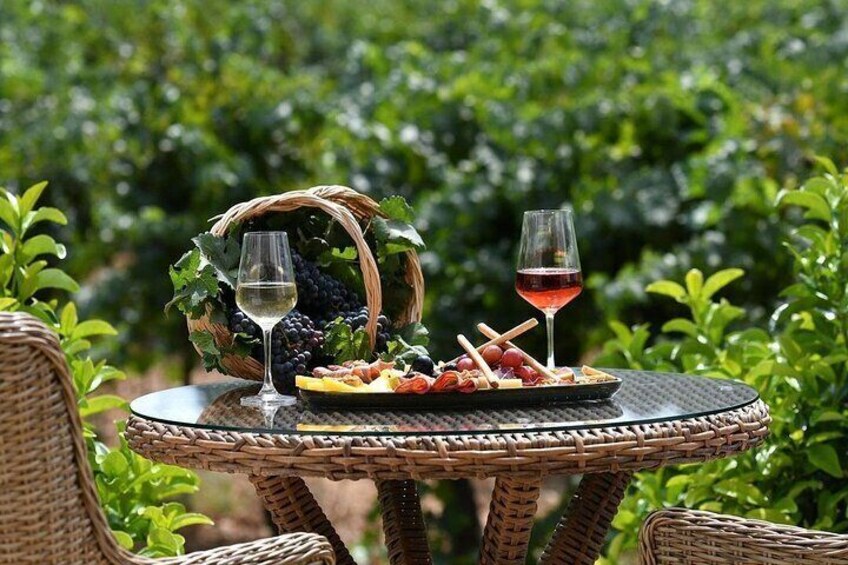 Wine Tasting Tour at Two Wineries in Urla Turkey