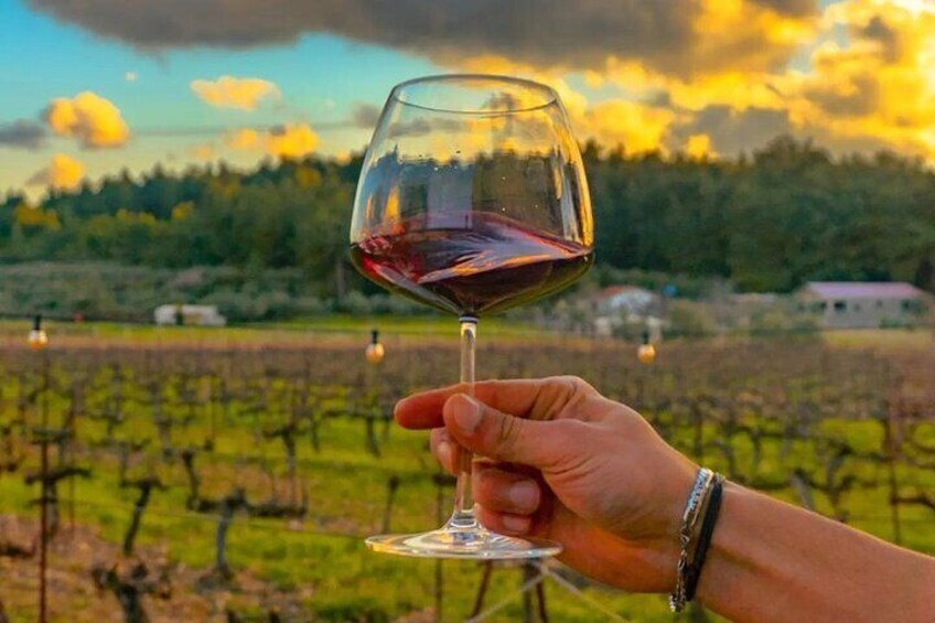 Wine Tasting Tour at Two Wineries in Urla Turkey