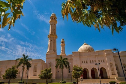 Full Day Private Shore Tour in Salalah from Salalah Cruise Port