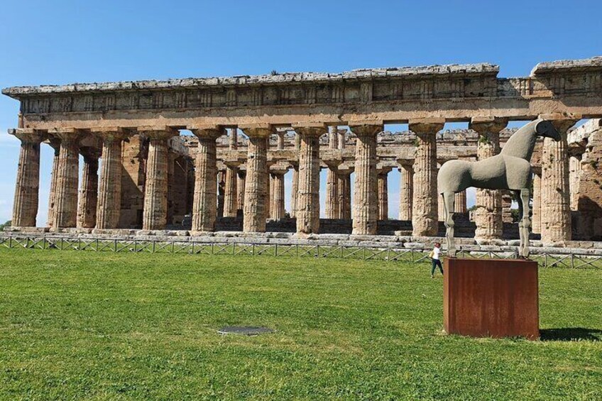 Tour at the Temples and the National Museum of Paestum