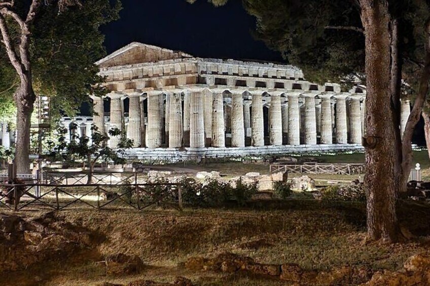 Private Tour at the Temples and the National Museum of Paestum