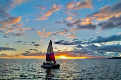 Vela al tramonto su un piccolo e affascinante catamarano hawaiano nel porto...