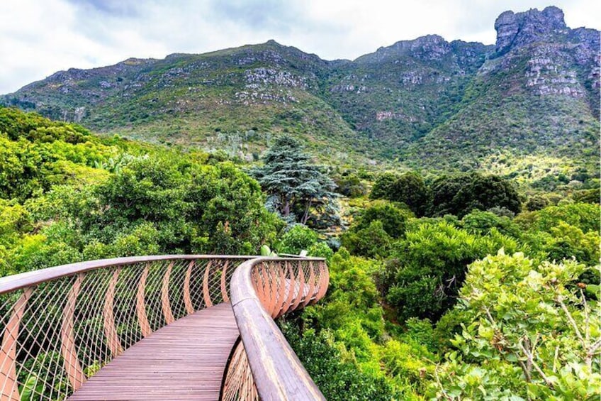 Kirstenbosch and Table Mountain Tour 
