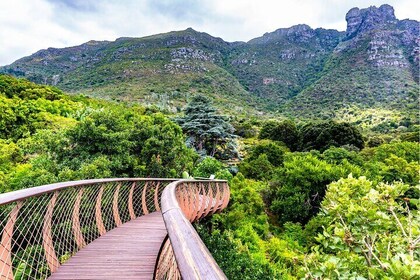 Kirstenbosch and Table Mountain Tour