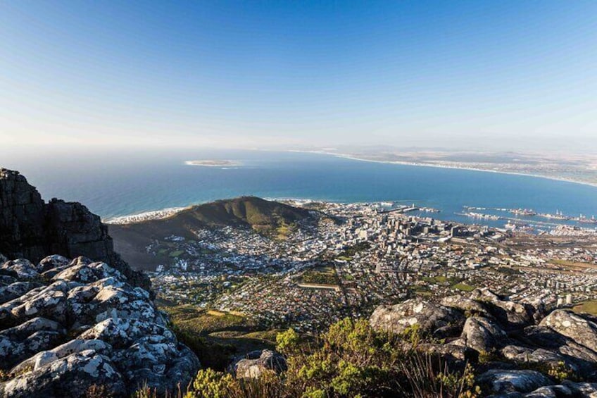Kirstenbosch and Table Mountain Tour 