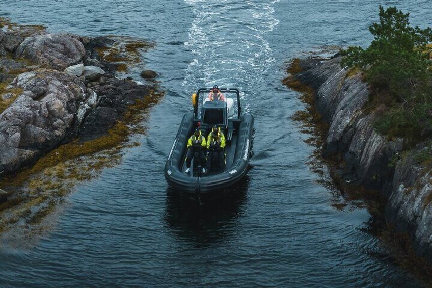 Private Hardangerfjord RIB safari tour from Rosendal