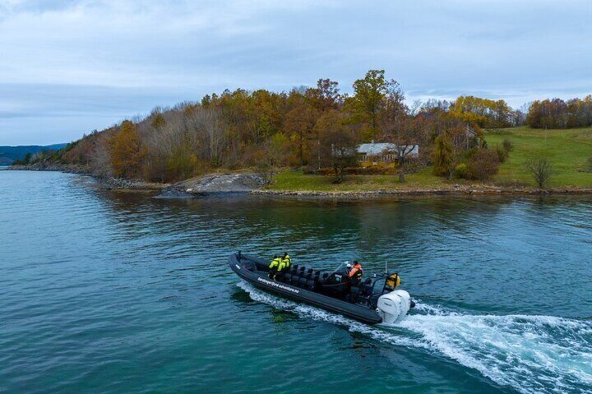 Private Hardangerfjord RIB safari tour from Rosendal