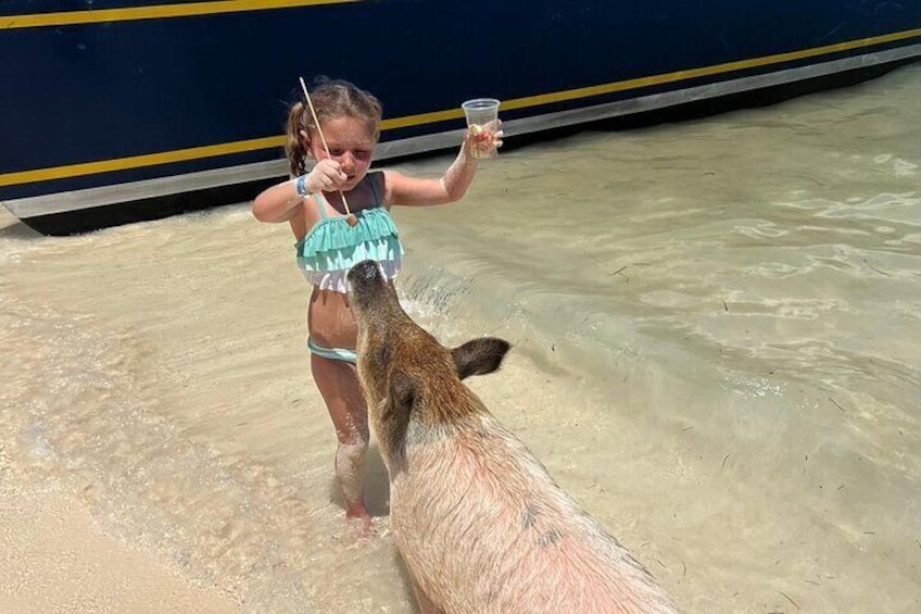 Beach Besties: Swimming pigs = endless fun for kids and giggles for grown-ups!