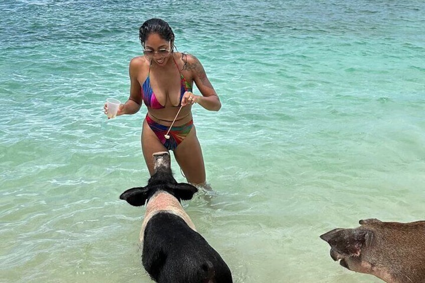 Living the Island Dream: Sharing a Snack with Swimmers of the Sea!