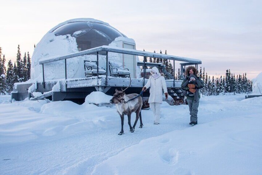 Reindeer and Snowmachine Day Trip to Borealis Basecamp