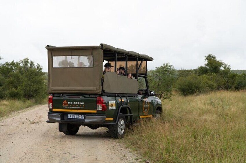 Full-Day Shared Kruger National Park Safari from Hoedspruit