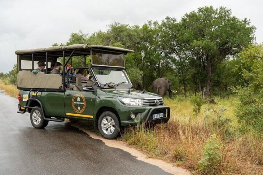 Full-Day Shared Kruger National Park Safari from Hoedspruit