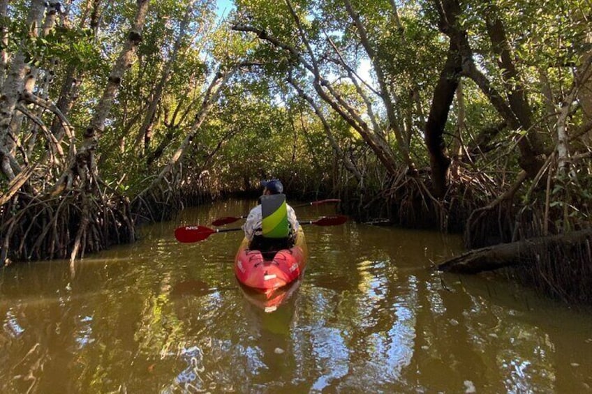 Everglades Kayak & Canoe Rentals