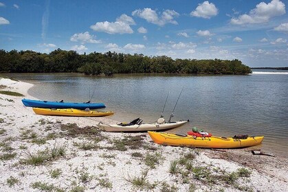 Everglades Kayak & Canoe Rentals