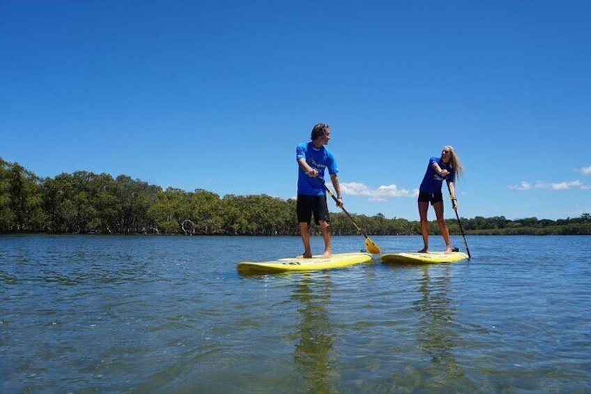 Stand-Up Paddle Board Tour in Byron Bay
