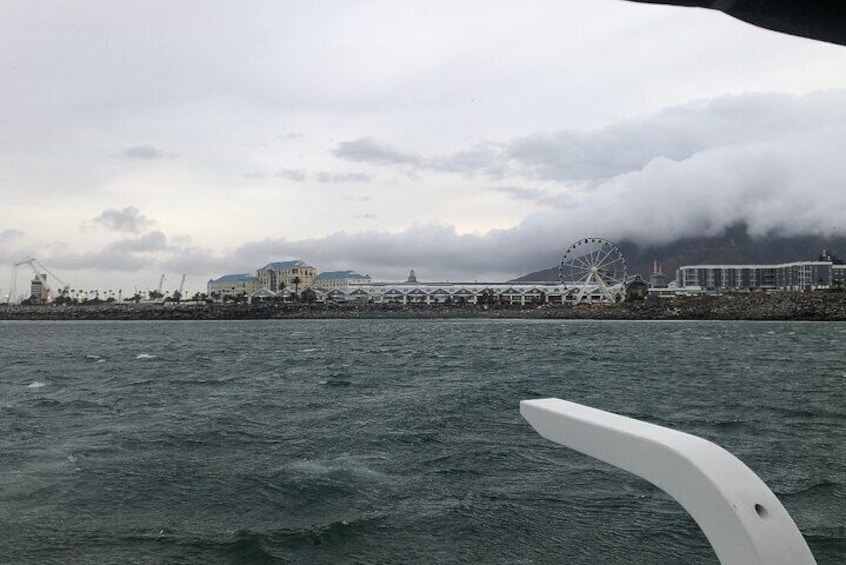 Sunset Cruise in Cape Town