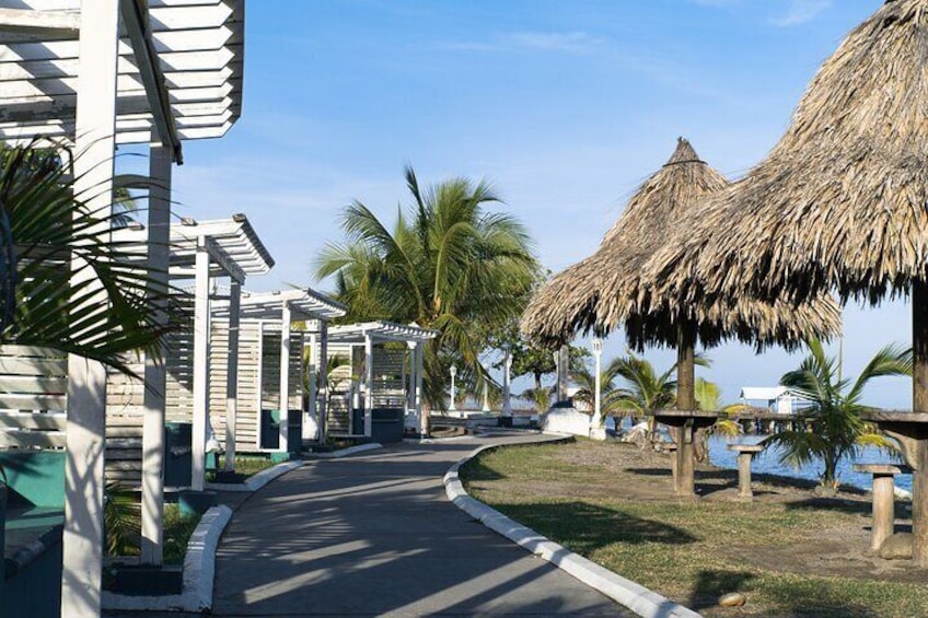 Private Full Day Shore Excursion in La Ceiba