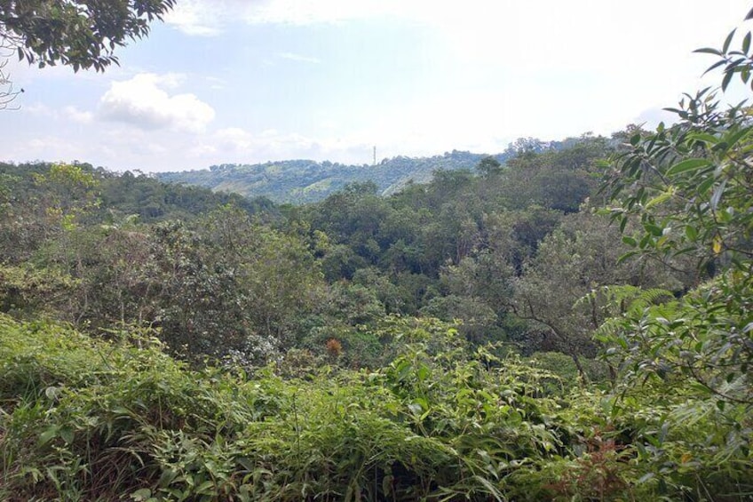 4 Hours Private River Tour in Pance Cali Colombia 