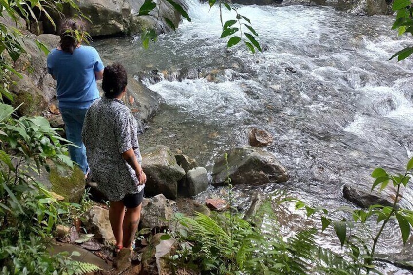 4 Hours Private River Tour in Pance Cali Colombia 