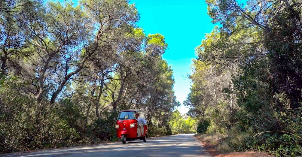 Picture 12 for Activity Hvar: Tuk Tuk island tour