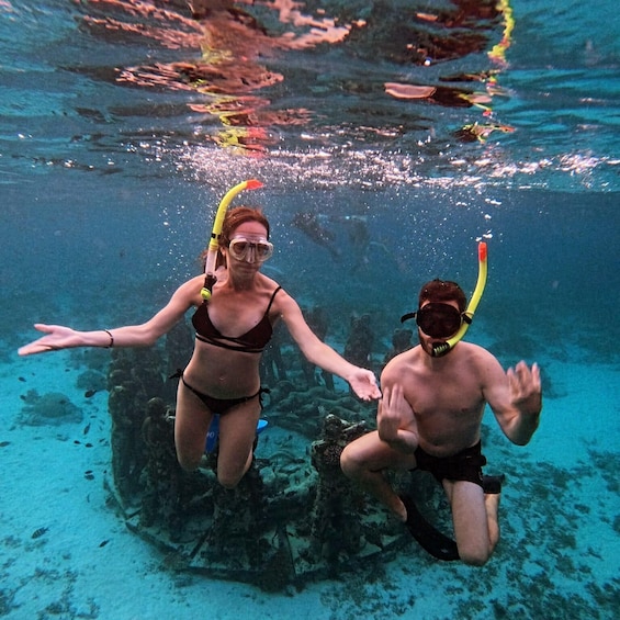 Picture 2 for Activity Gili Trawangan Swimming with Turtle & Underwater Statue