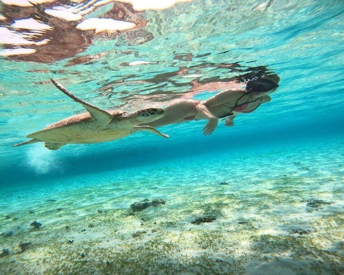 Picture 7 for Activity Gili Trawangan : Snorkeling Swimming with Turtle & Statue