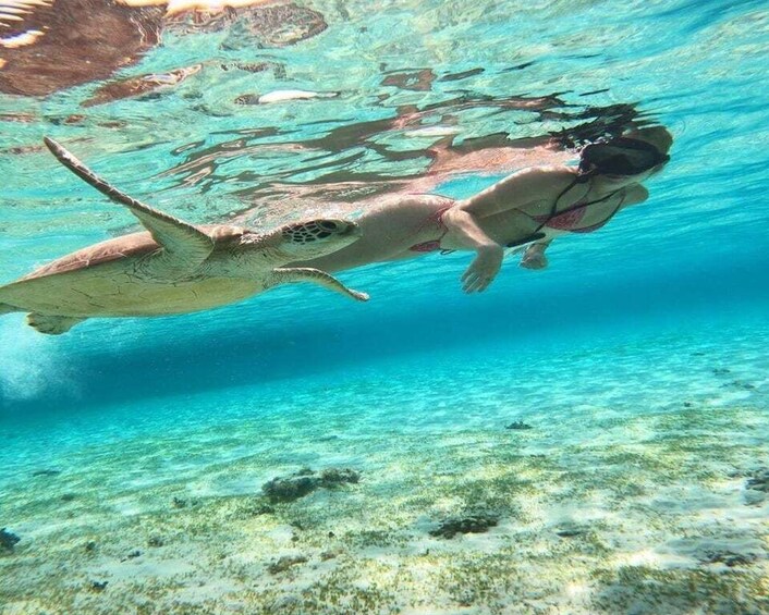 Picture 1 for Activity Gili Trawangan Swimming with Turtle & Underwater Statue