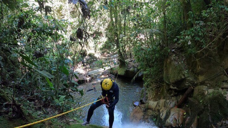 Rappelling down a 15- metre-deep waterfall with specialised equipment and our excellent crew of safety leaders. Discover this natural wonder in the Cocora Valley