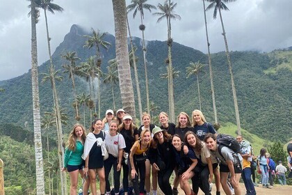 Tour Privado de 1 Día en Caminata al Valle del Cocora