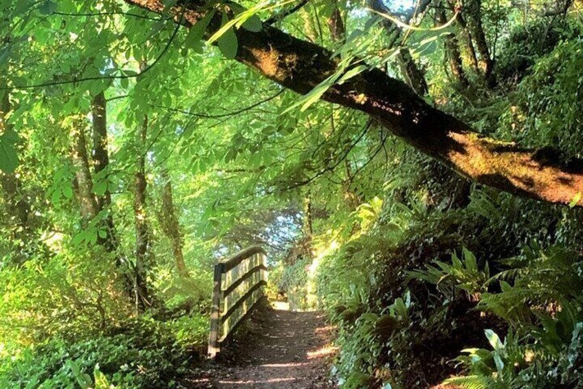 Lady Louisa's Walk Guided Tour