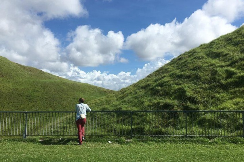 Shore Excursion: Half-Day Auckland Volcanoes Tour