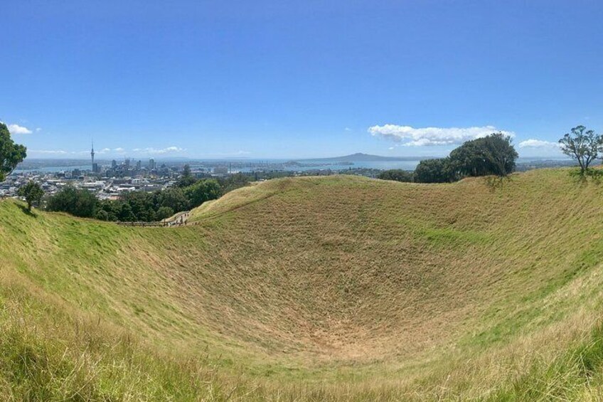 Shore Excursion: Half-Day Auckland Volcanoes Tour