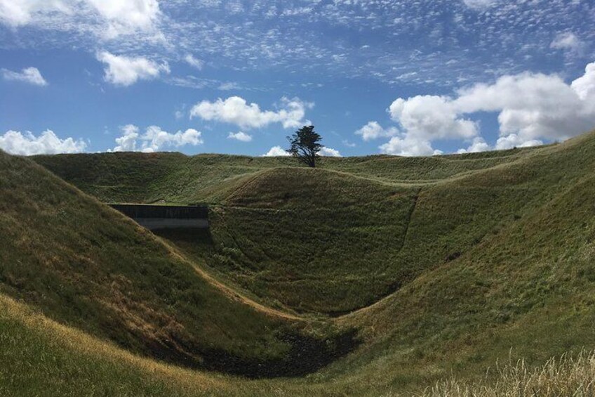 Shore Excursion: Half-Day Auckland Volcanoes Tour