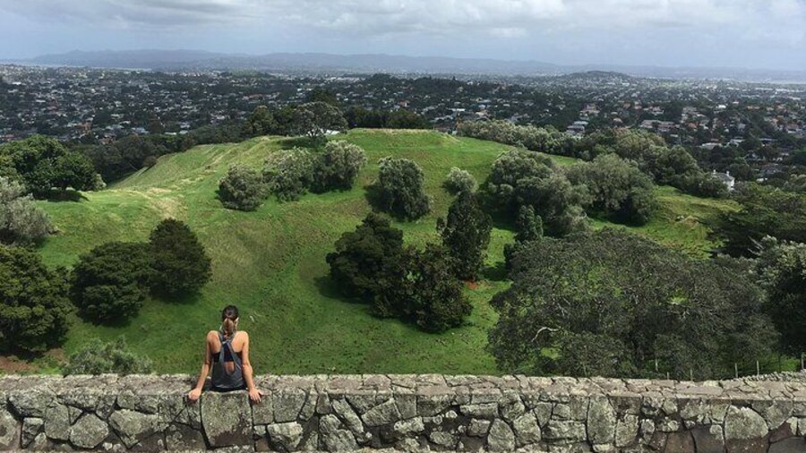 Shore Excursion: Half-Day Auckland Volcanoes Tour