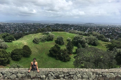 Shore Excursion: Half-Day Auckland Volcanoes Tour