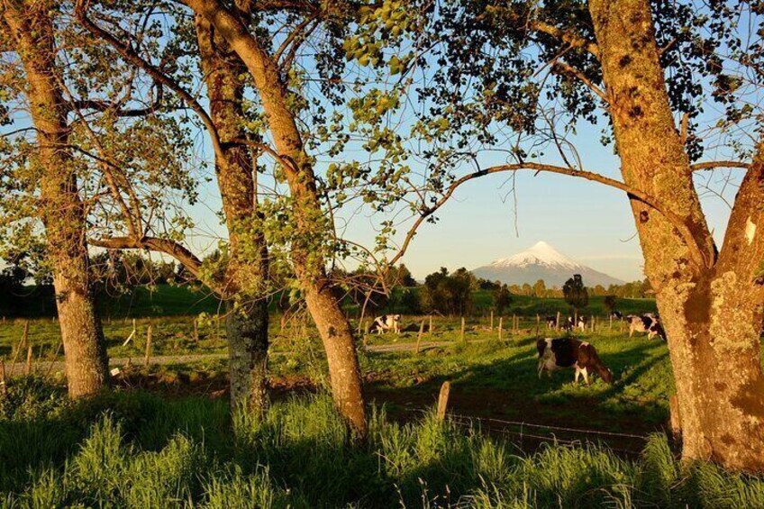 Llanquihue Lake Tour