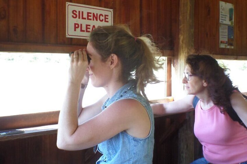 Seeing animals at the hide by the waterhole