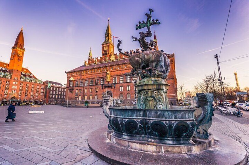 Copenhagen Old Town Nyhavn Canal Guided Walking & Boat Tour
