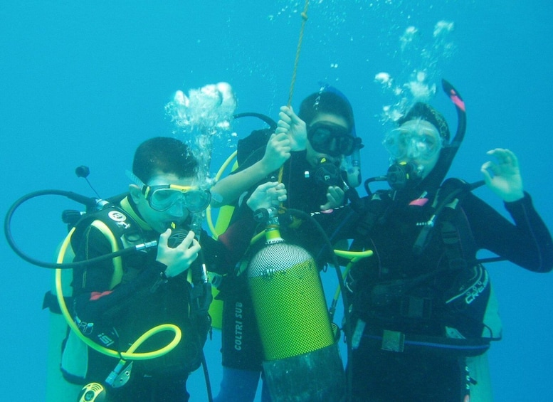 Picture 10 for Activity Half-Day: Professionals Diving in Open Water Tour with Lunch