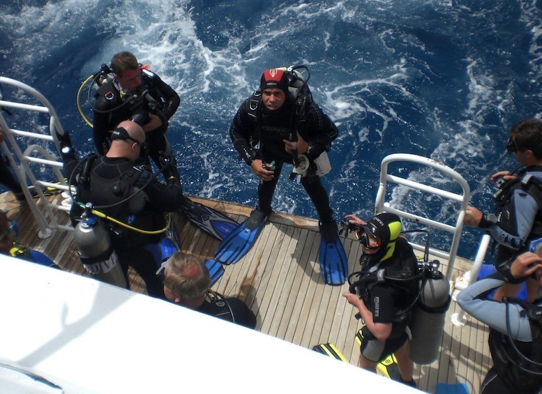 Picture 9 for Activity Half-Day: Professionals Diving in Open Water Tour with Lunch