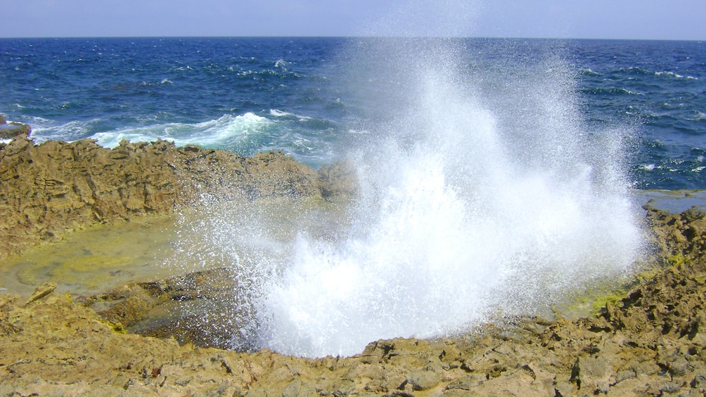 Foto 3 von 5 laden Beach spout in Curacao
