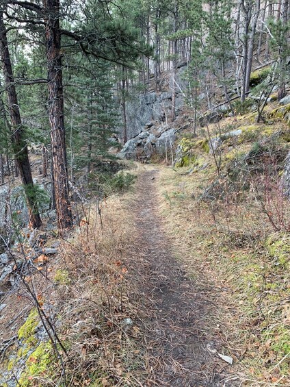 Picture 3 for Activity Black Hills: Private Tour of Mt. Rushmore & Flume Trail Hike