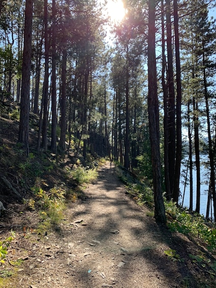 Picture 1 for Activity Black Hills: Private Tour of Mt. Rushmore & Flume Trail Hike