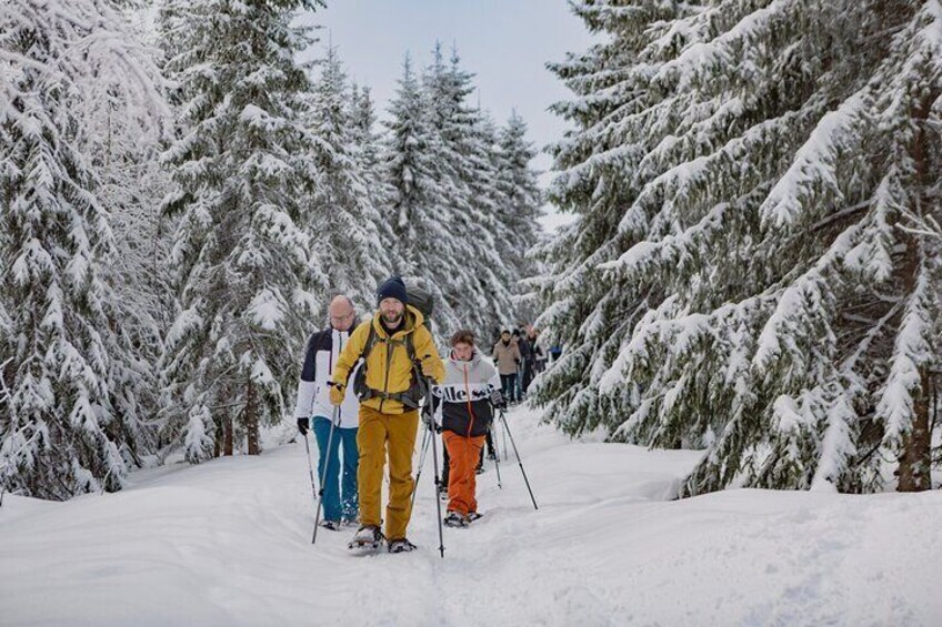 Snowshoe tour in Winter Wonderland - Oslo