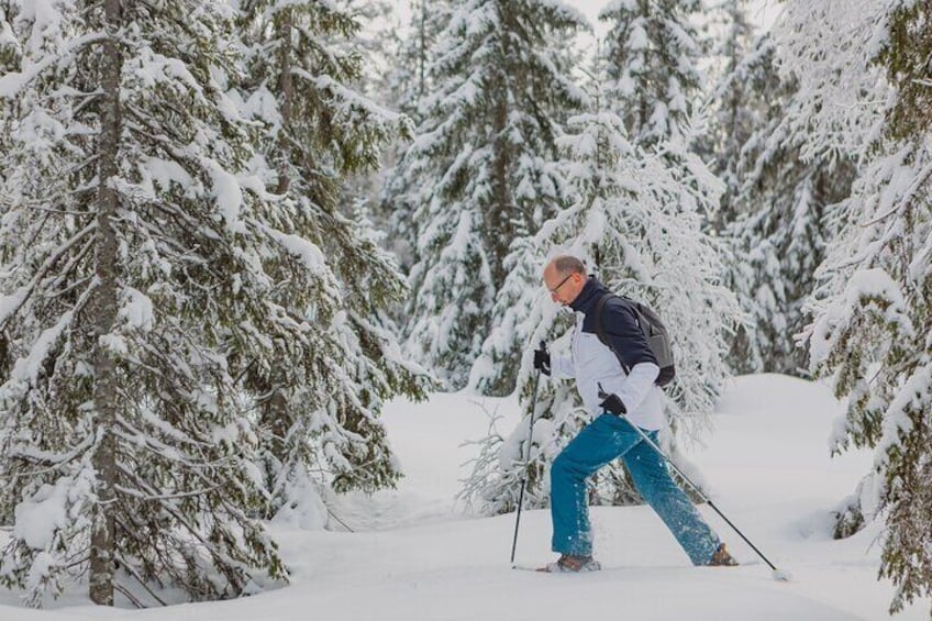 Snowshoe tour in Winter Wonderland - Oslo