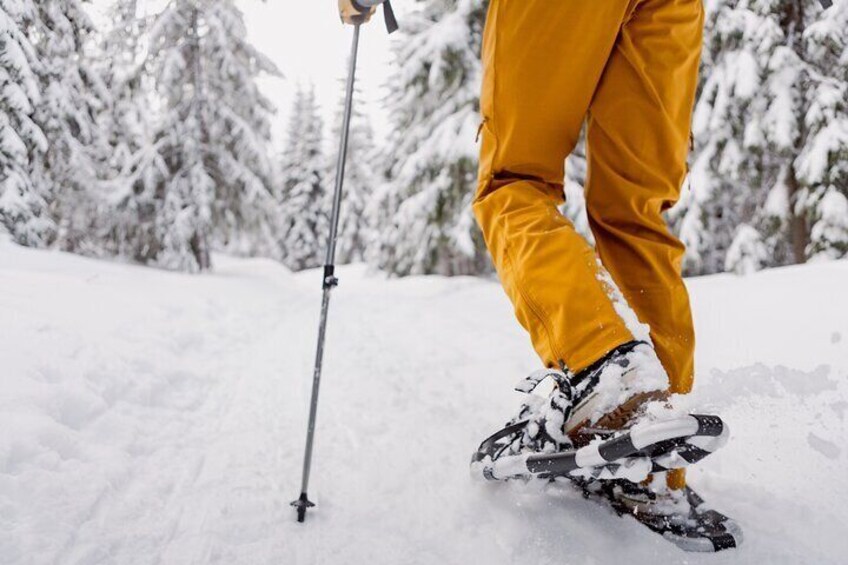 Snowshoe tour in Winter Wonderland - Oslo