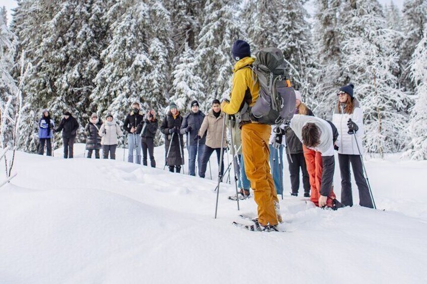Snowshoe tour in Winter Wonderland - Oslo