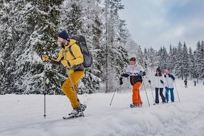 Snowshoe tour in Winter Wonderland - Oslo